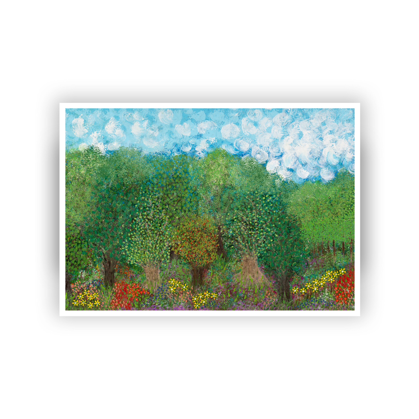 My Back Garden Haven