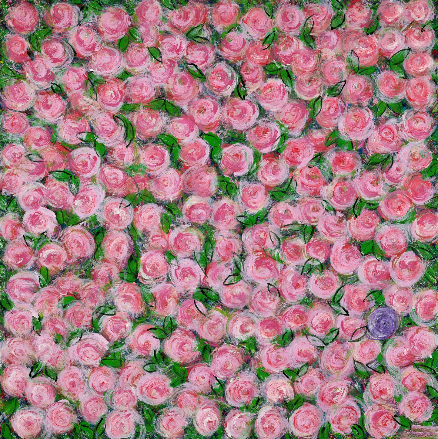 Pink Roses